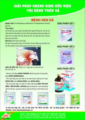 Giải pháp kháng sinh hữu hiệu trị bệnh Hen gà